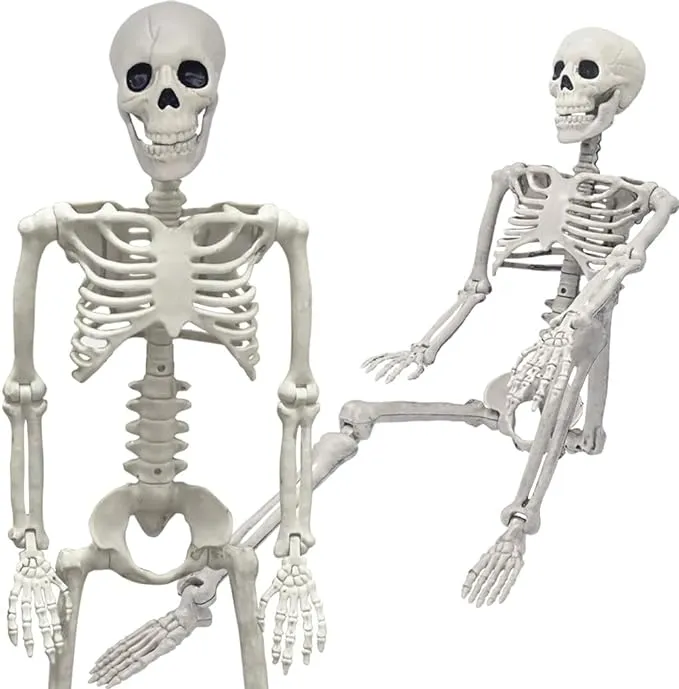 WODMAZ 36" Skeleton Halloween Decorations, 3ft Realistic Full Body Movable Posable Joints Skeleton, Creepy Halloween Plastic Skeleton for Graveyard