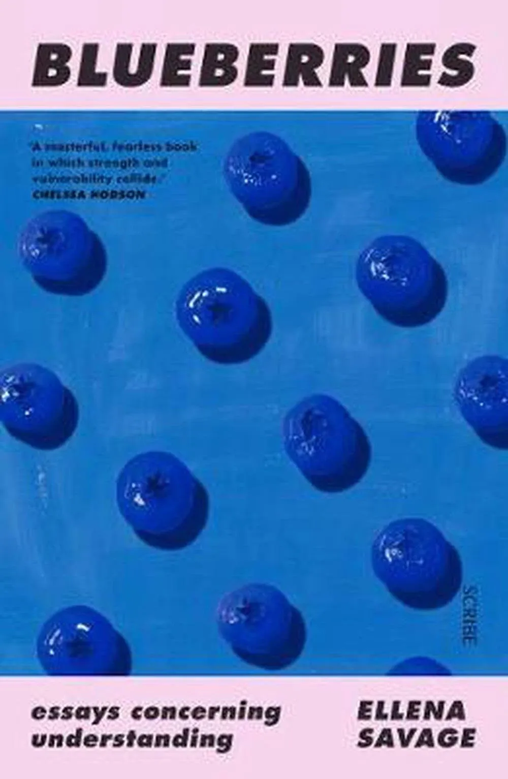 Blueberries: Essays Concerning Understanding [Book]