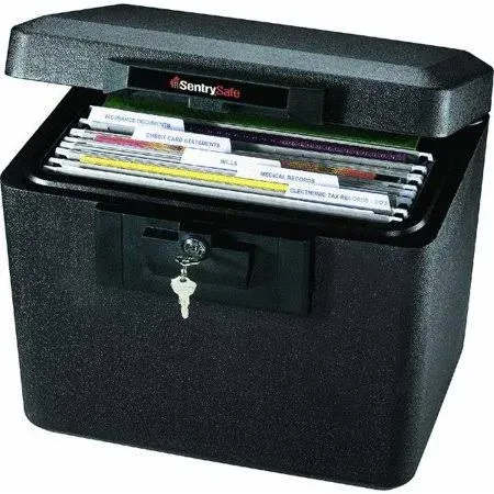 SentrySafe Fire Protection Document & File Safe, Black