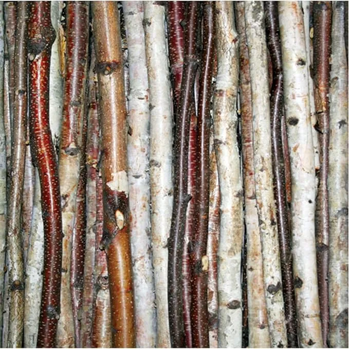 Wilson 48" Decorative Birch Sticks, Natural Home Décor - 0.5"-1" Dia. (Small, Roped Set of 3)