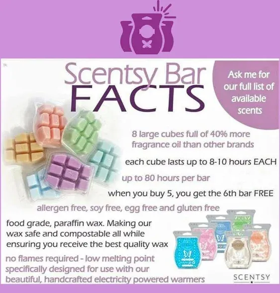 1 Amazon Rain Scentsy Wax Bar, 3.2 oz, Wax Melts, Free