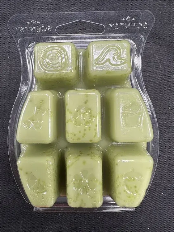 New Scentsy Amazon Rain Wax Bar