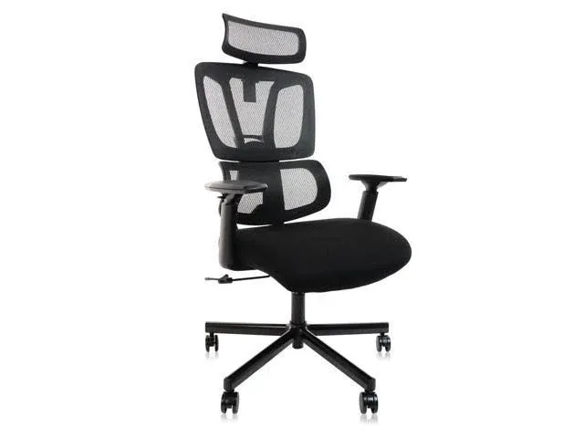 CLATINA New Ergonomic High Back Mesh Chair,High Back Desk Chair - Adjustable Headrest Adjustable Armrests,Tilt Function,Lumbar Support and PU Wheels,Swivel Computer Task Chair, Black