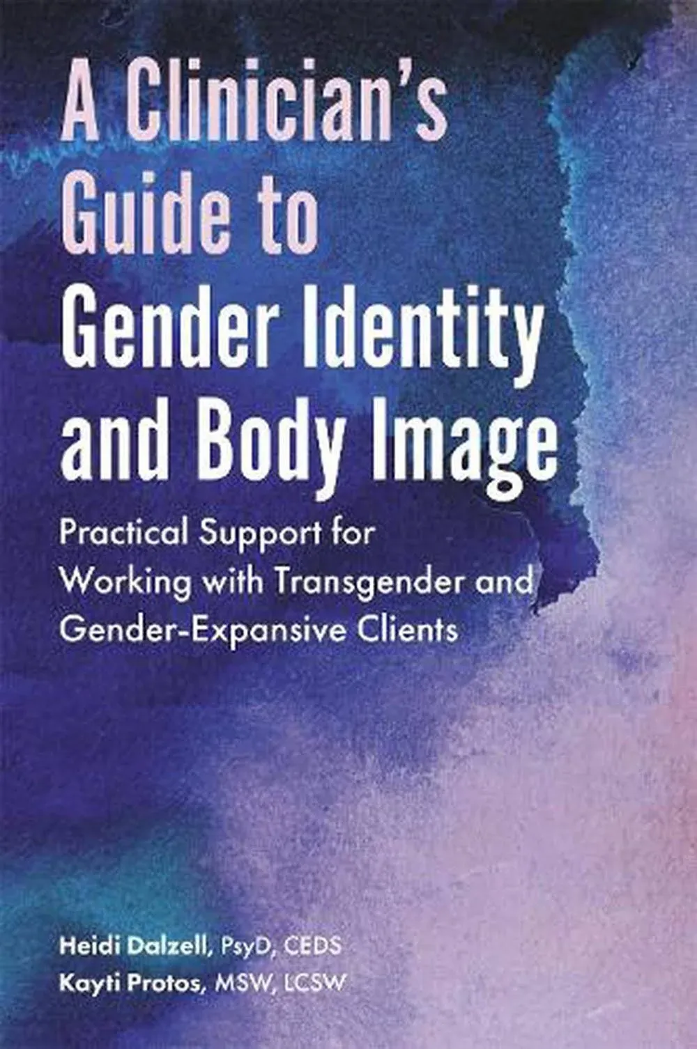 A Clinician's Guide to Gender Identity and Body Image by Heidi Dalzell, Kayti Protos (Paperback)