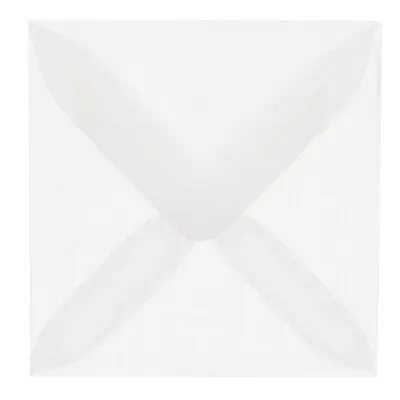 Jam Paper 6 x 9 Booklet Envelopes