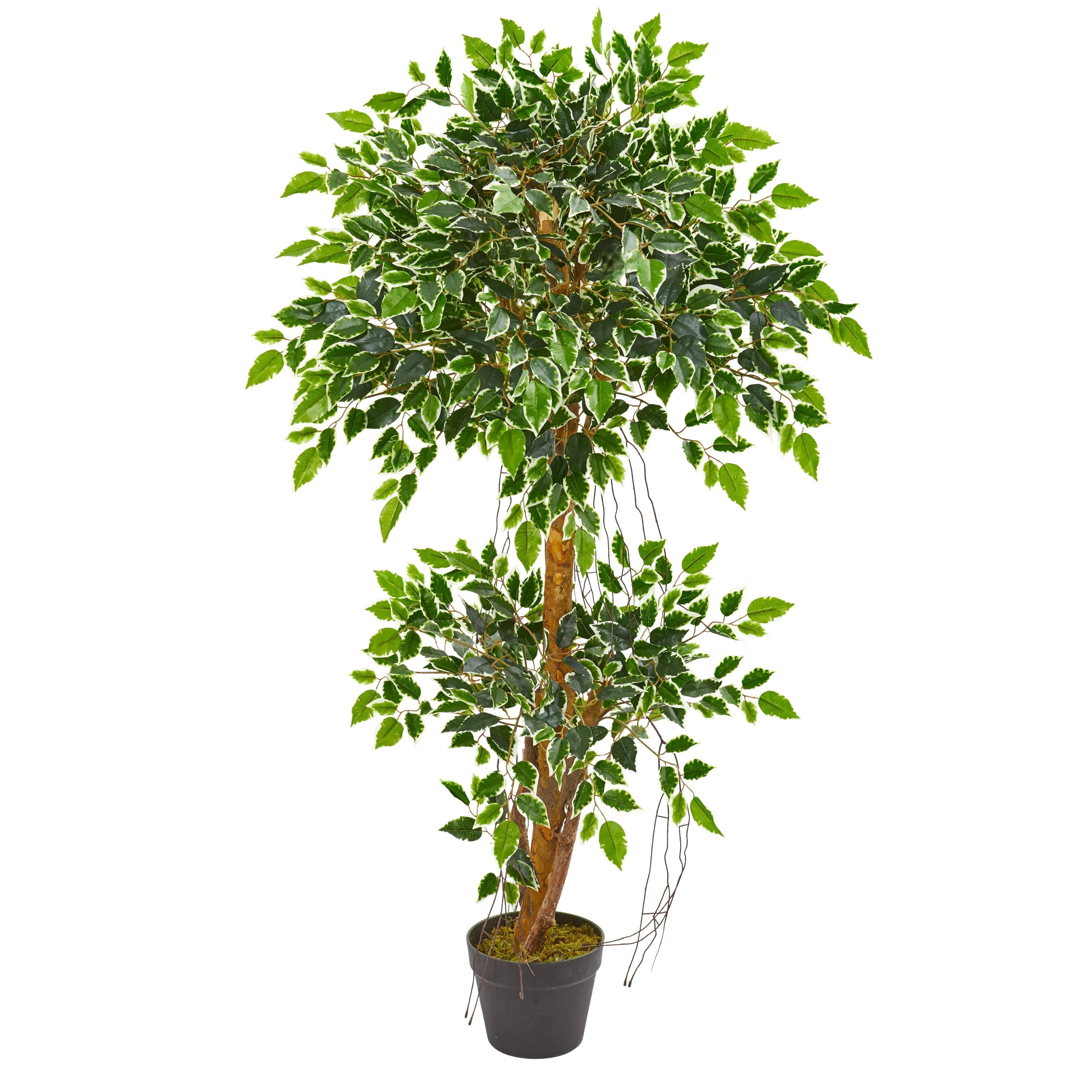 4’ Variegated Ficus Artificial Tree by Nearly Natural