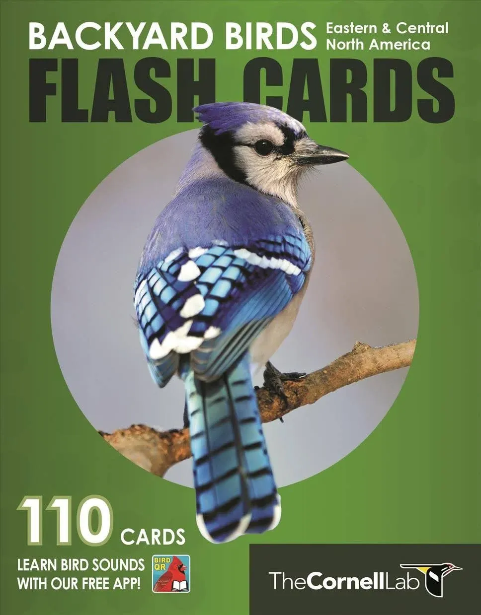 Backyard Birds Flash Cards: Eastern & Central North America by Cornell Lab of Ornithology - 2020 - from Buteo Books (SKU: 15018)