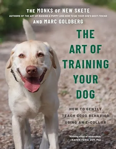 The Art of Training Your Dog: How to Gently Teach Good Behavior Using an E-Collar