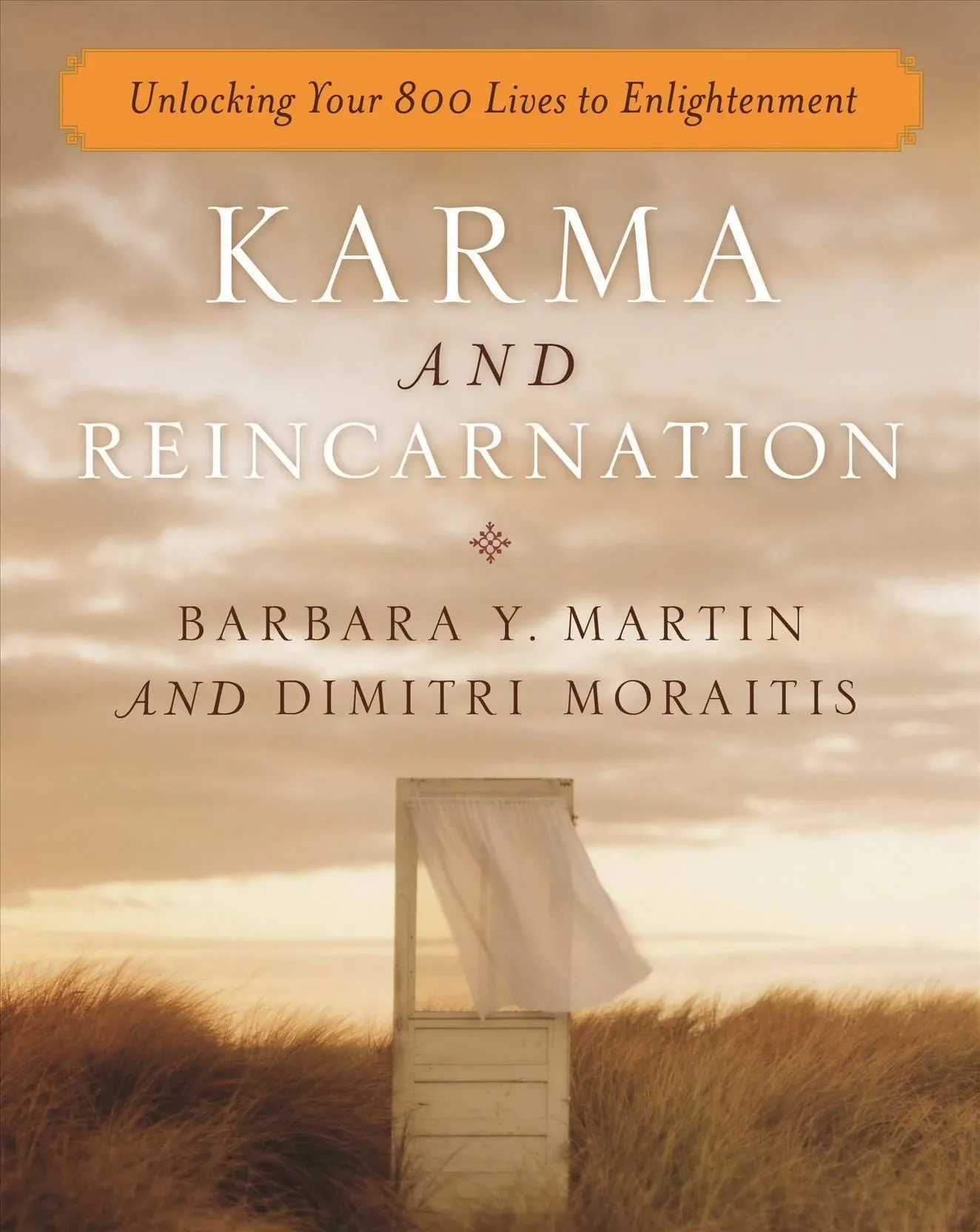 Karma and Reincarnation: Unlocking Your 800 Lives to Enlightenment