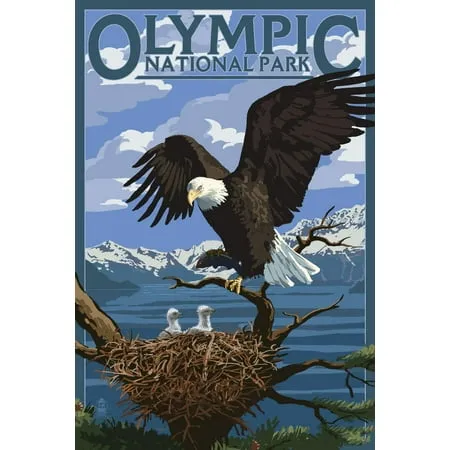 Olympic National Park Washington Eagle and Chicks (24x36 Giclee Gallery Art Print Vivid Textured Wall Decor)