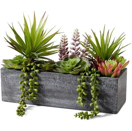 Serene Spaces Living Mixed Succulents in Rectangular Planter: Perfect for Weddings and Home Décor, Real Looking Plant for Decoration, Single, 2in Long x 4.5in Wide x 9in Tall