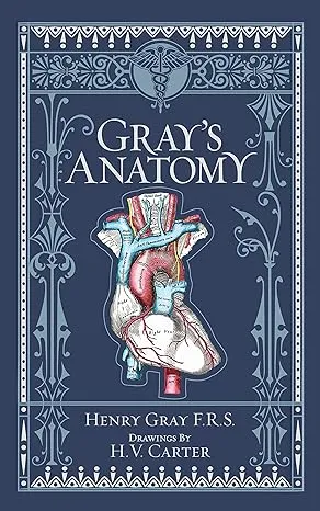 Anatomy: Descriptive and Surgical [Book]