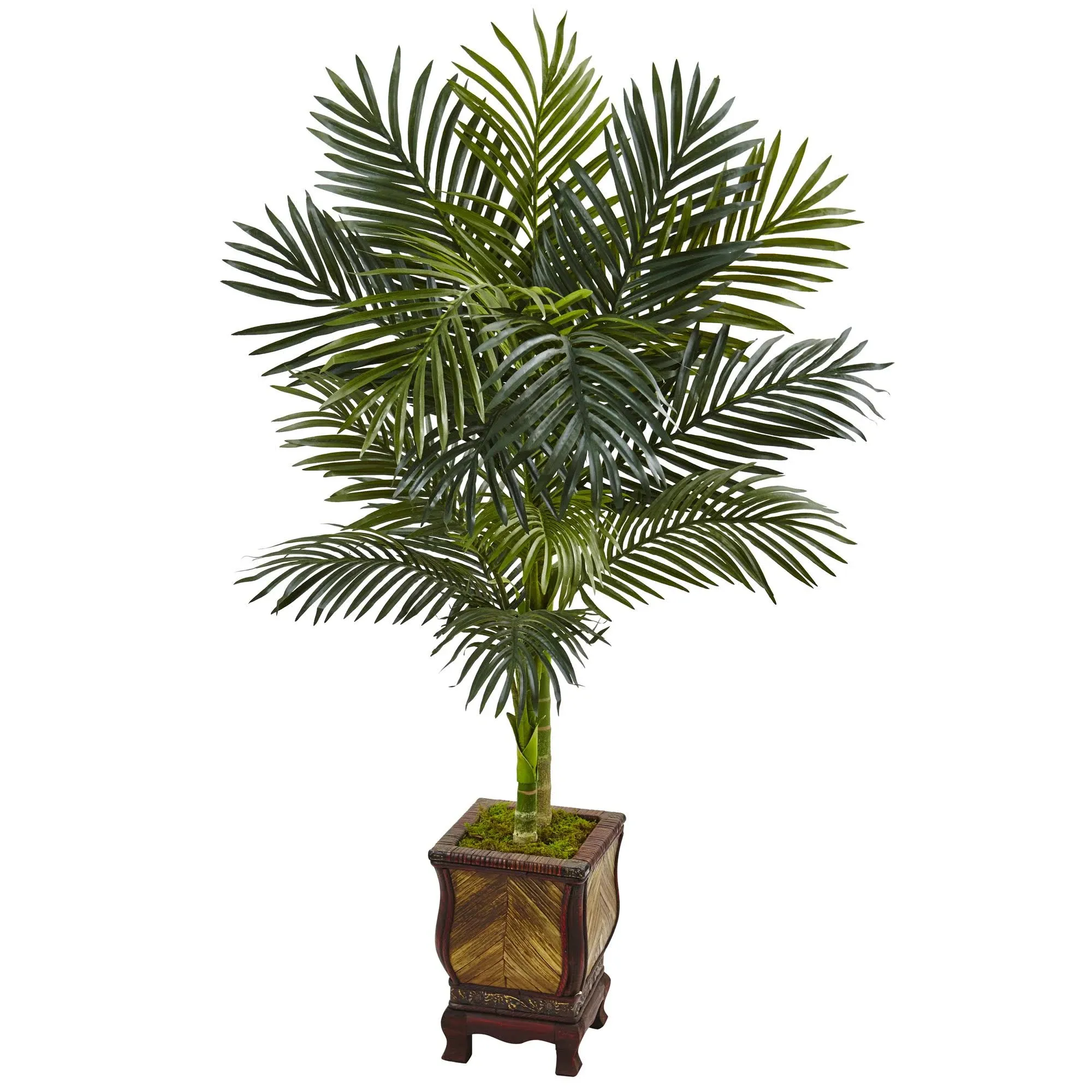 4.5ft. Golden Cane Palm Tree in Decorative Wooden Planter