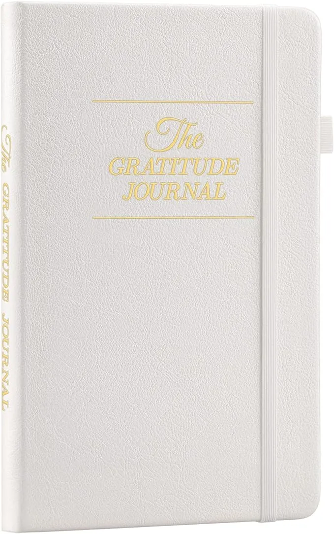 The Gratitude Journal : Daily Journal 2023-2024 More Happiness, Positivity ...