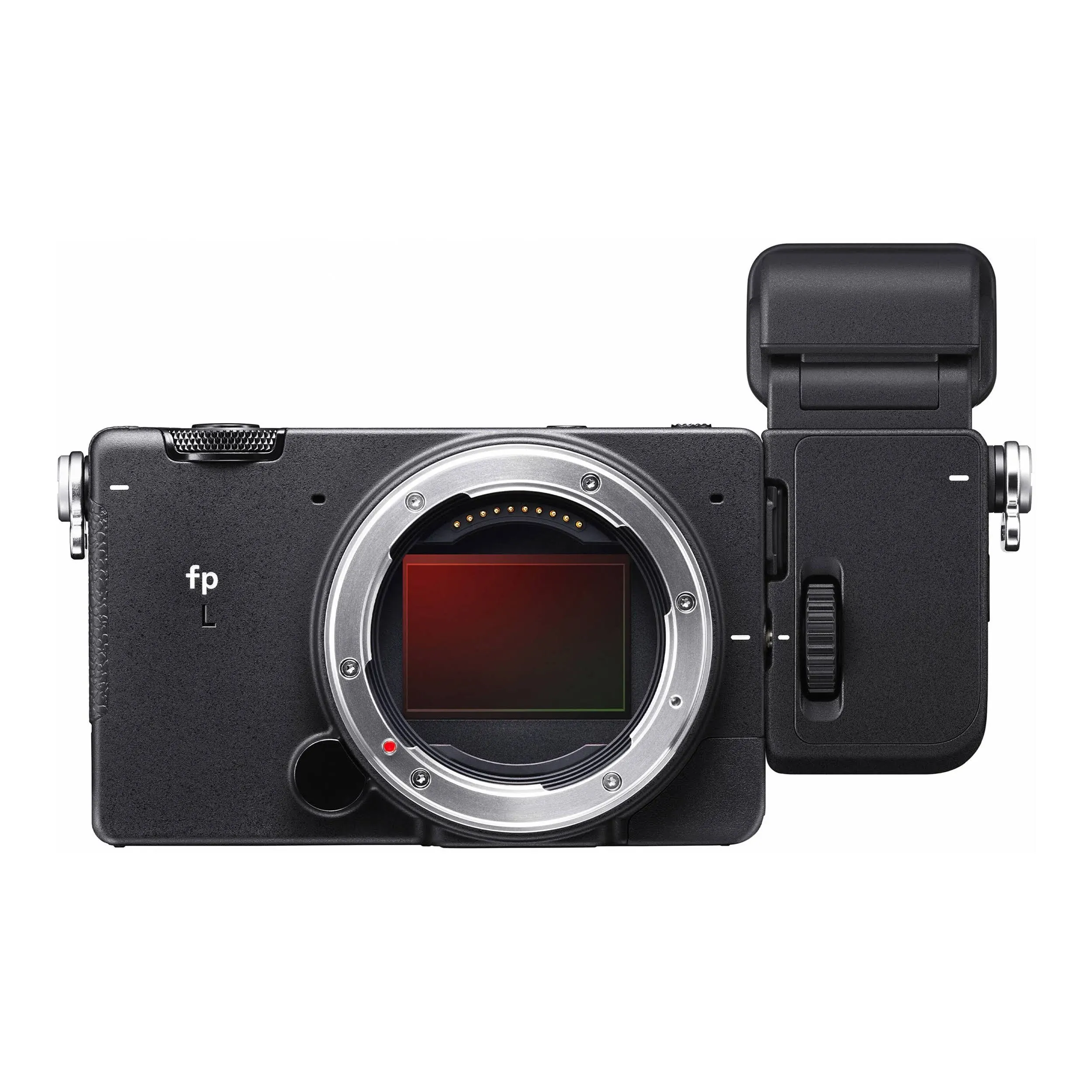 Sigma FP L Digital Camera + Electronic Viewfinder