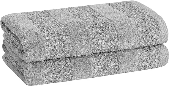 Cannon Shear Bliss Quick Dry 100% Cotton 2 Piece Hand Towel Set for Adults (Steeple Gray)