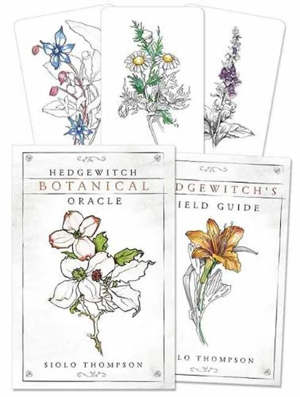 Hedgewitch Botanical Oracle [Book]