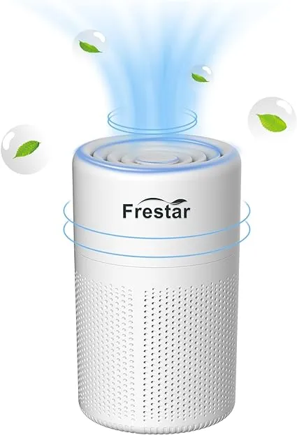 Small Air Purifier and Diffuser 2 in 1 for Office Bedroom Home Desktop Air Purifier