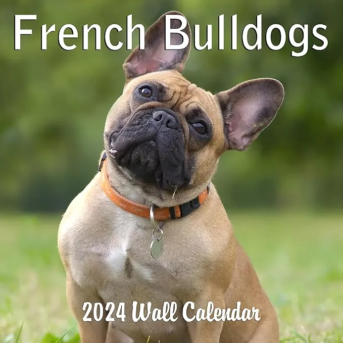 2025 Chihuahua Monthly Wall Calendar | 12" x 24" | 2025 Chihuaha Dog Calendar