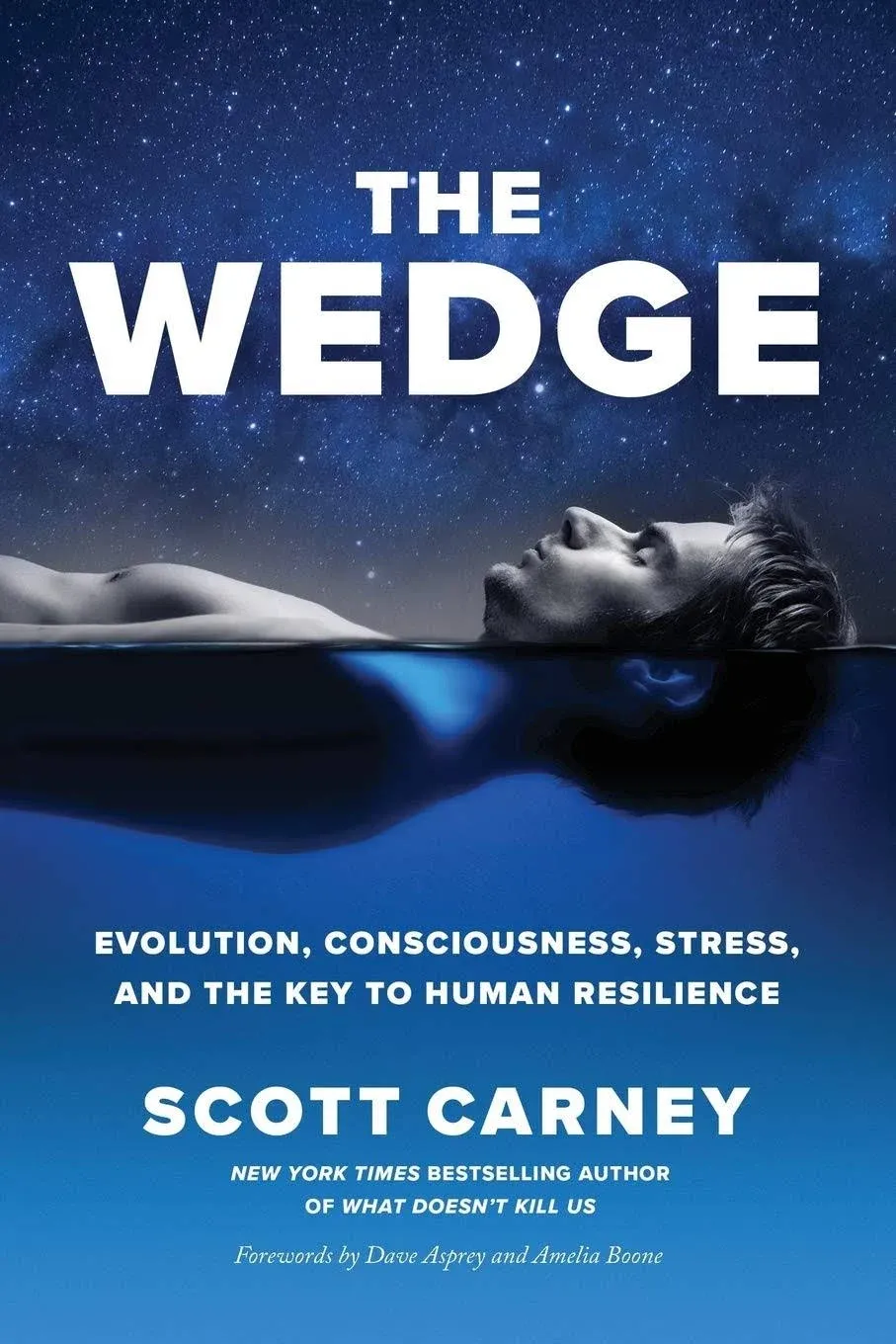 The Wedge: Evolution, Consciousness, Stress, and the Key to Human Resilience