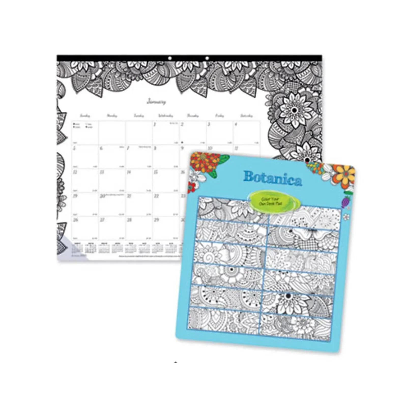 2024 Blueline DoodlePlan Botanica 22" x 17" Monthly Desk Pad Coloring Calendar, White/Black (C2917311)