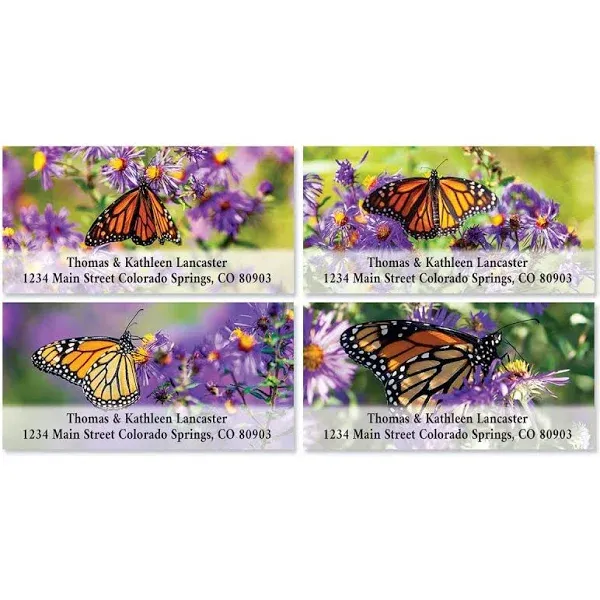 Wildflower Monarch Deluxe Return Address Labels (4 Designs)