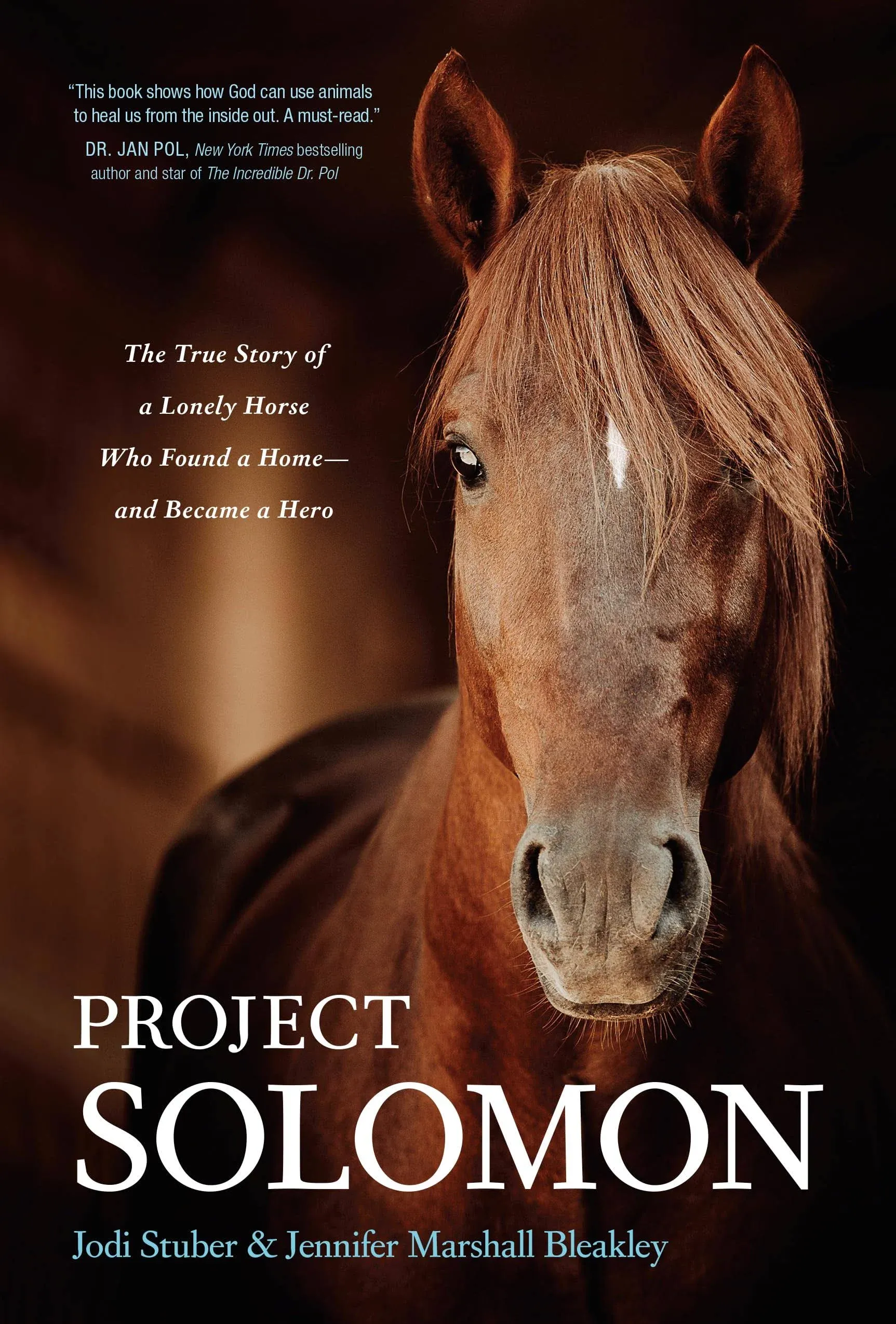 Project Solomon: The True Story of a Lonely Horse Who Found a Home--And Became a ...