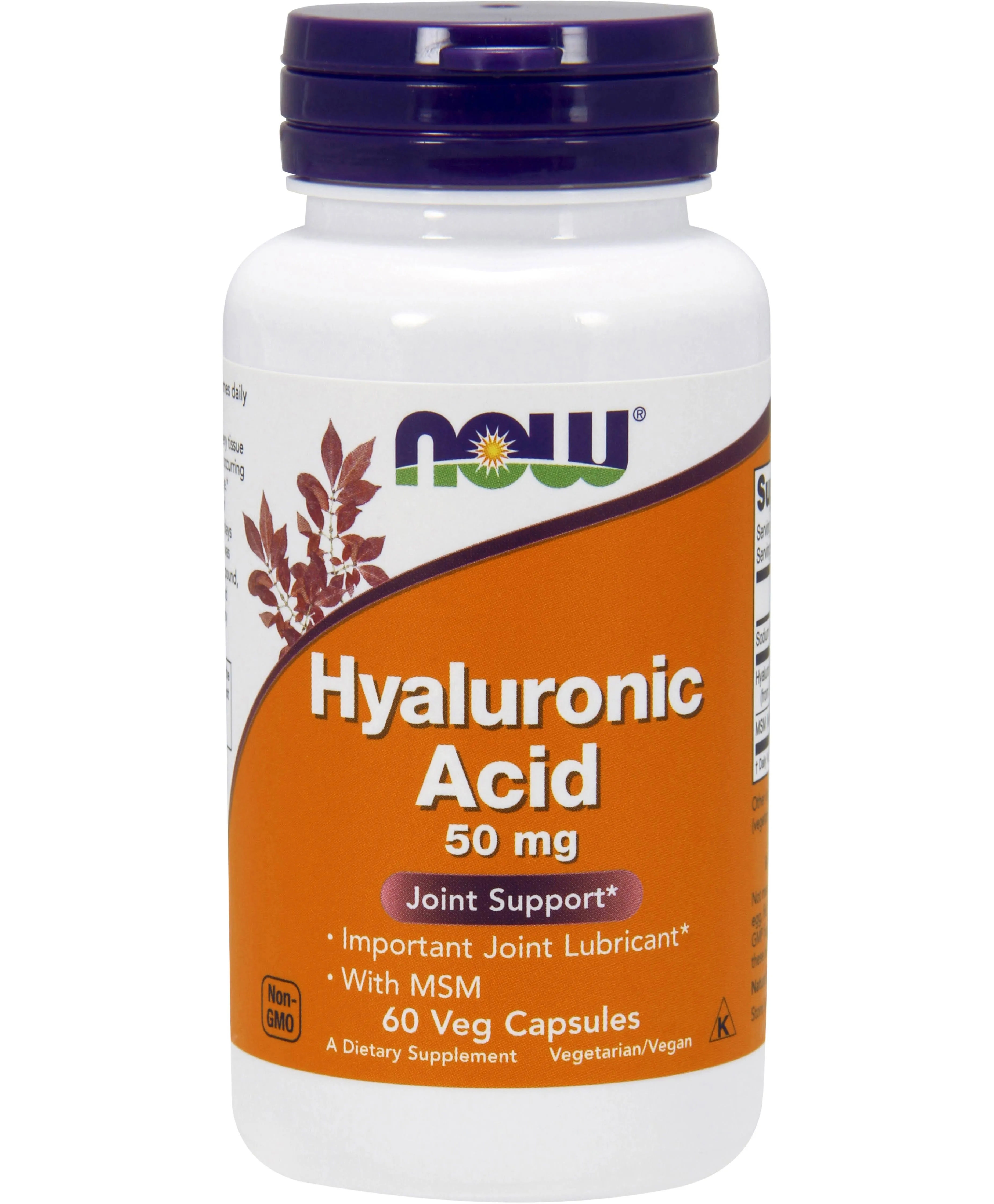 Now Foods Hyaluronic Acid MSM