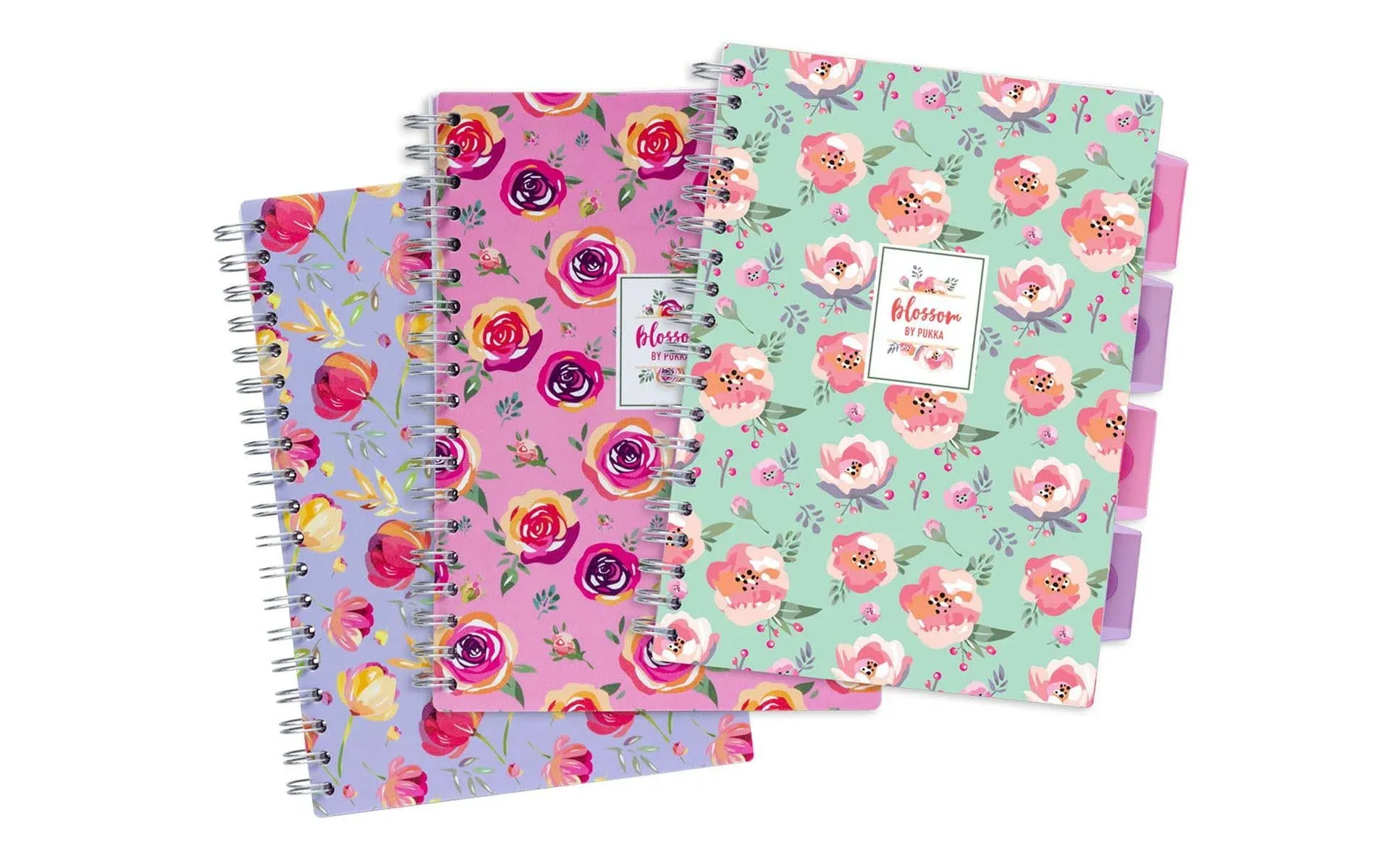 Pukka Pad Divided Project Book Blossom 3 Styles