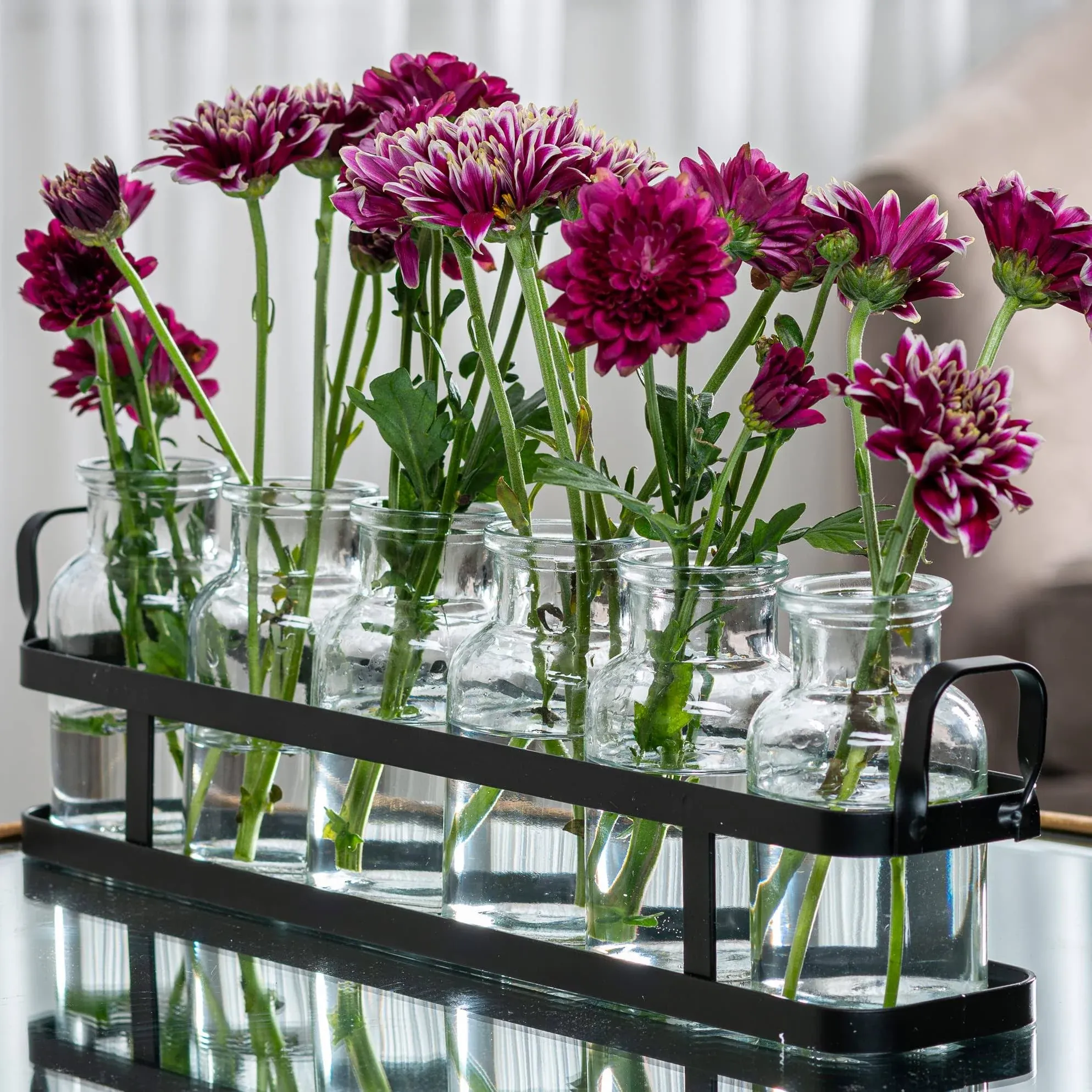 6pc Glass Flower Vase with Metal Holder, Best Vases for Flowers, Set for Home De