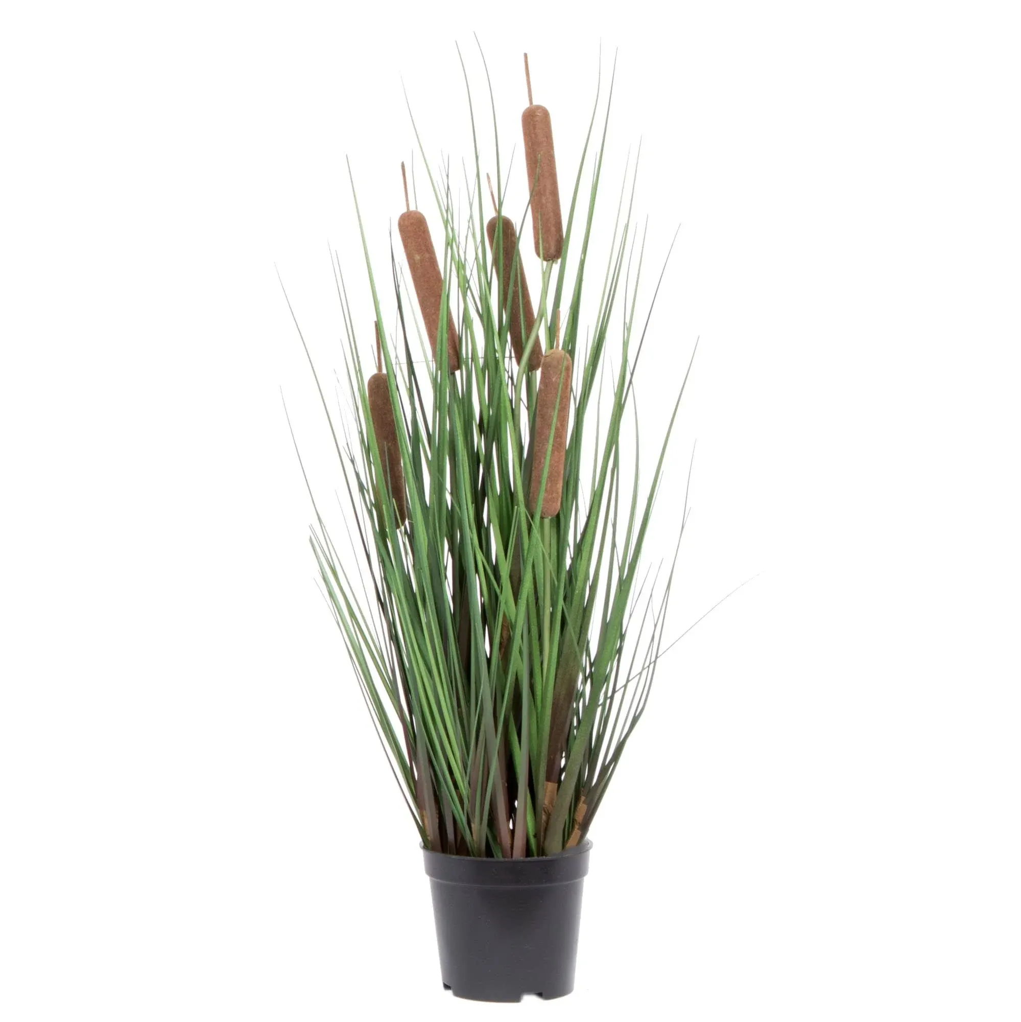 Vickerman 24" Grass with 5 Cattails Potted