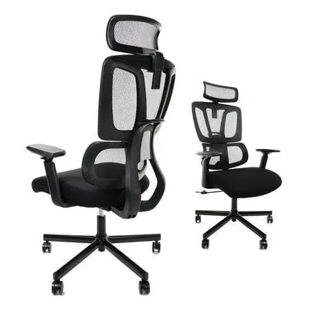 Clatina Ergonomic Office Chair with Double Backrest Lumbar Support and Mesh