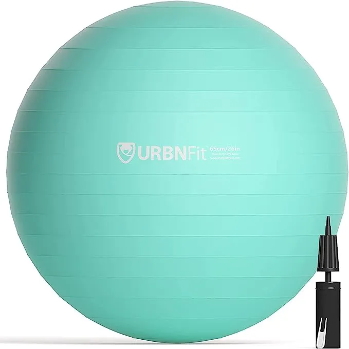 URBNFit Exercise Ball (65 cm) for Stability & Yoga - Workout Guide Incuded - Pro