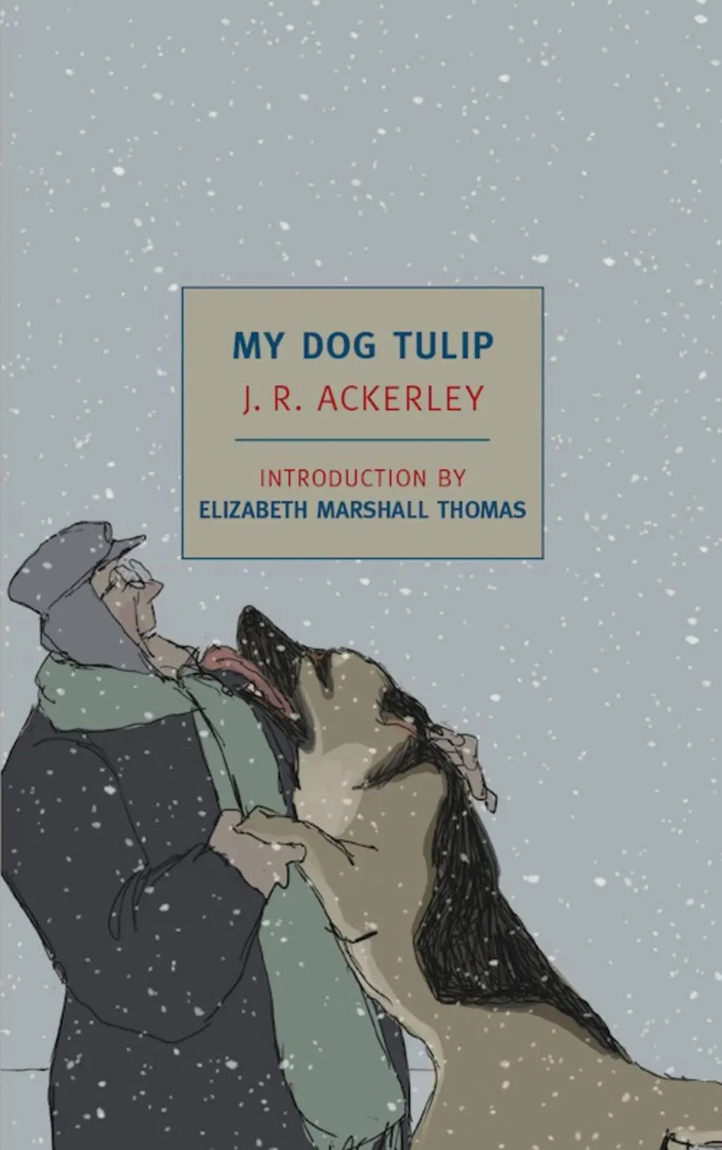 My Dog Tulip Movie tie-in edition 1st edition