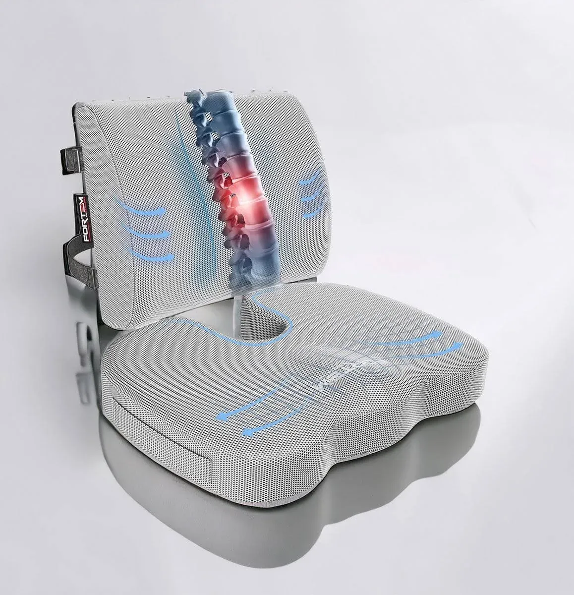 FORTEM Seat Cushion and Lumbar Support