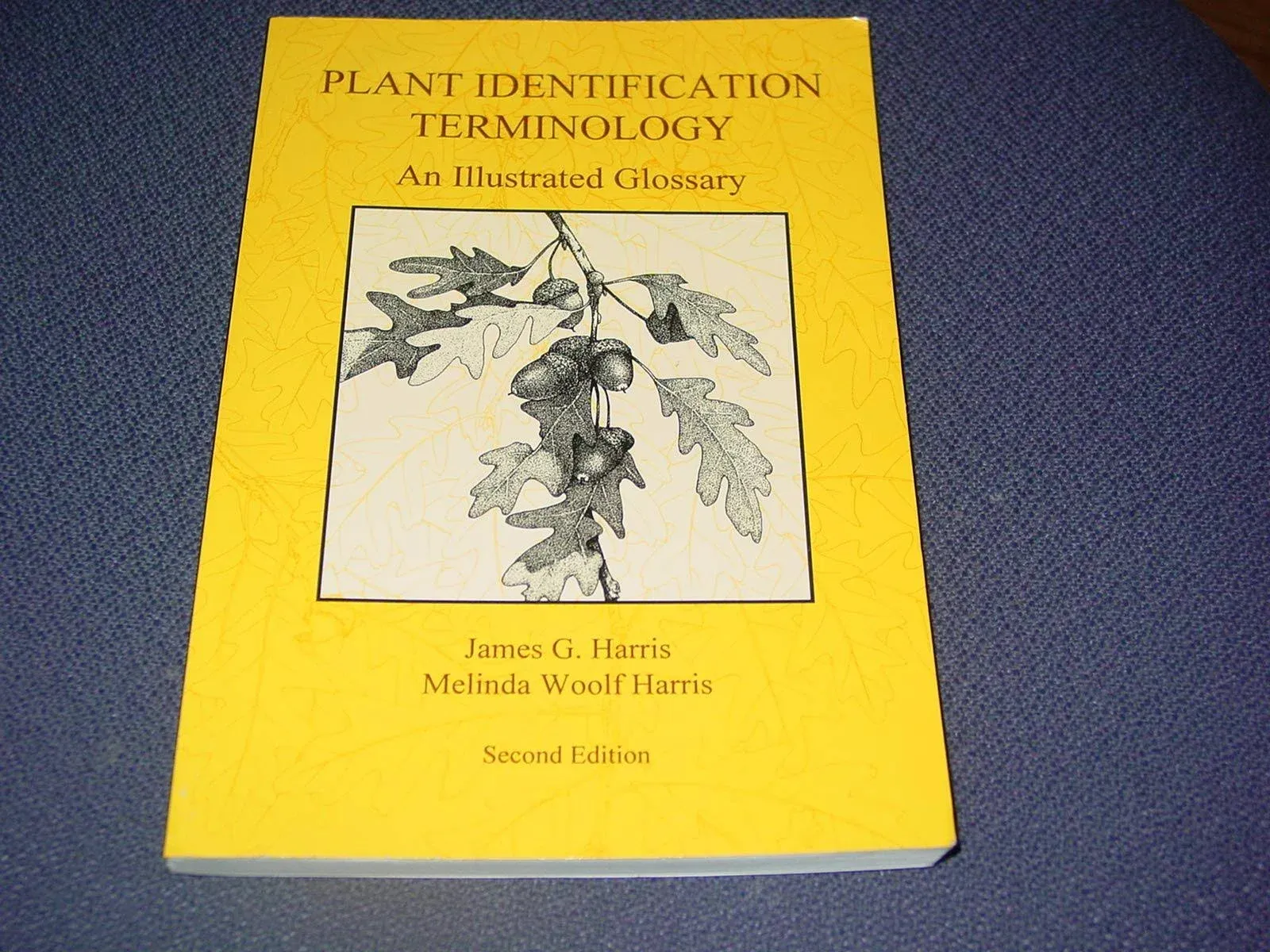 Plant Identification Terminology: An Illustrated Glossary [Book]