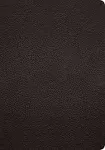 ESV Study Bible (Black) 