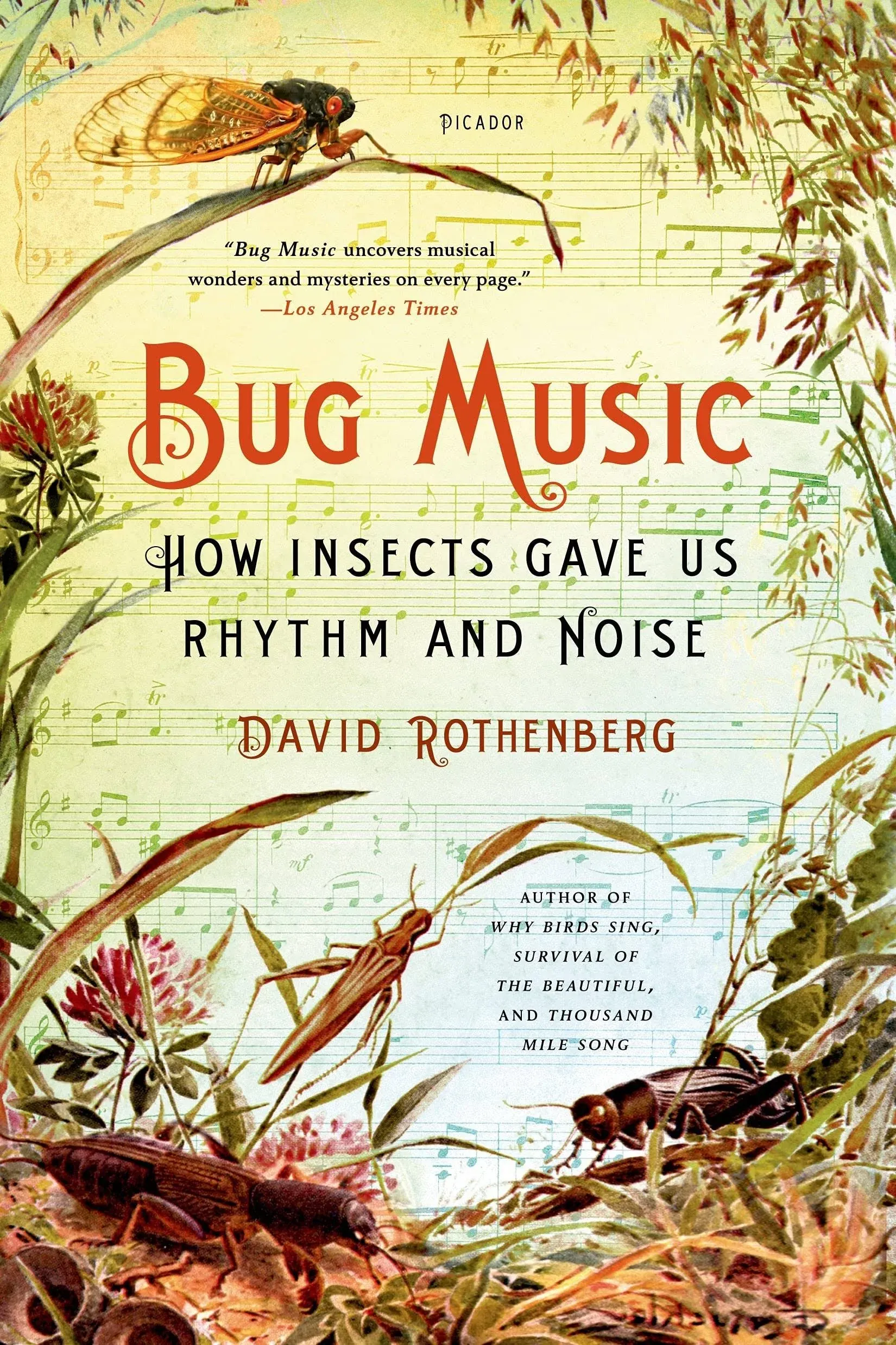 Bug Music: How Insects Gave Us Rhythm and Noise