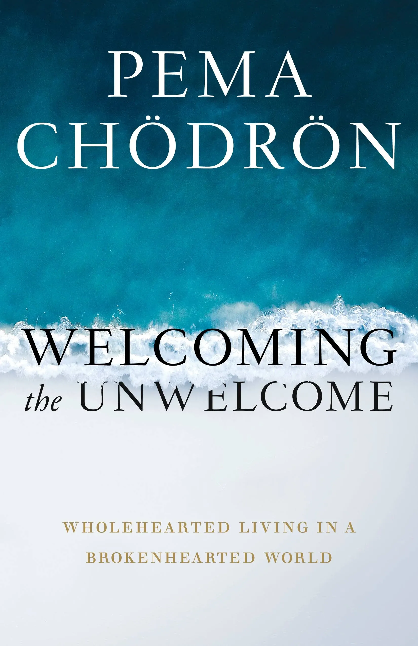 Welcoming the Unwelcome: Wholehearted Living in a Brokenhearted World [Book]