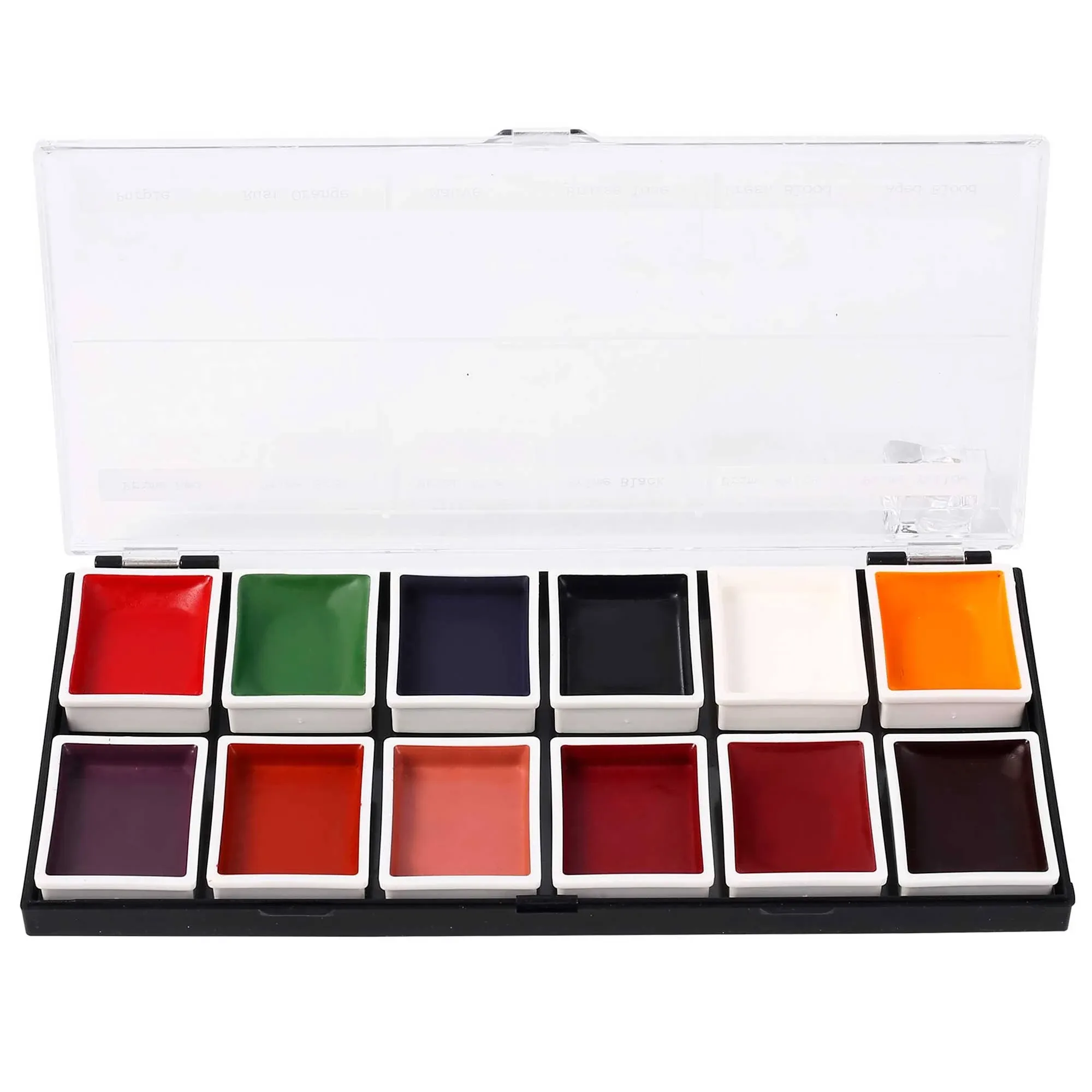 FX Alcohol-Activated 12 Colors Makeup Palette, Highly Pigmented Professional Makeup for the Stage, Film, Costumes, Cosplay, SFX, Performance Arts