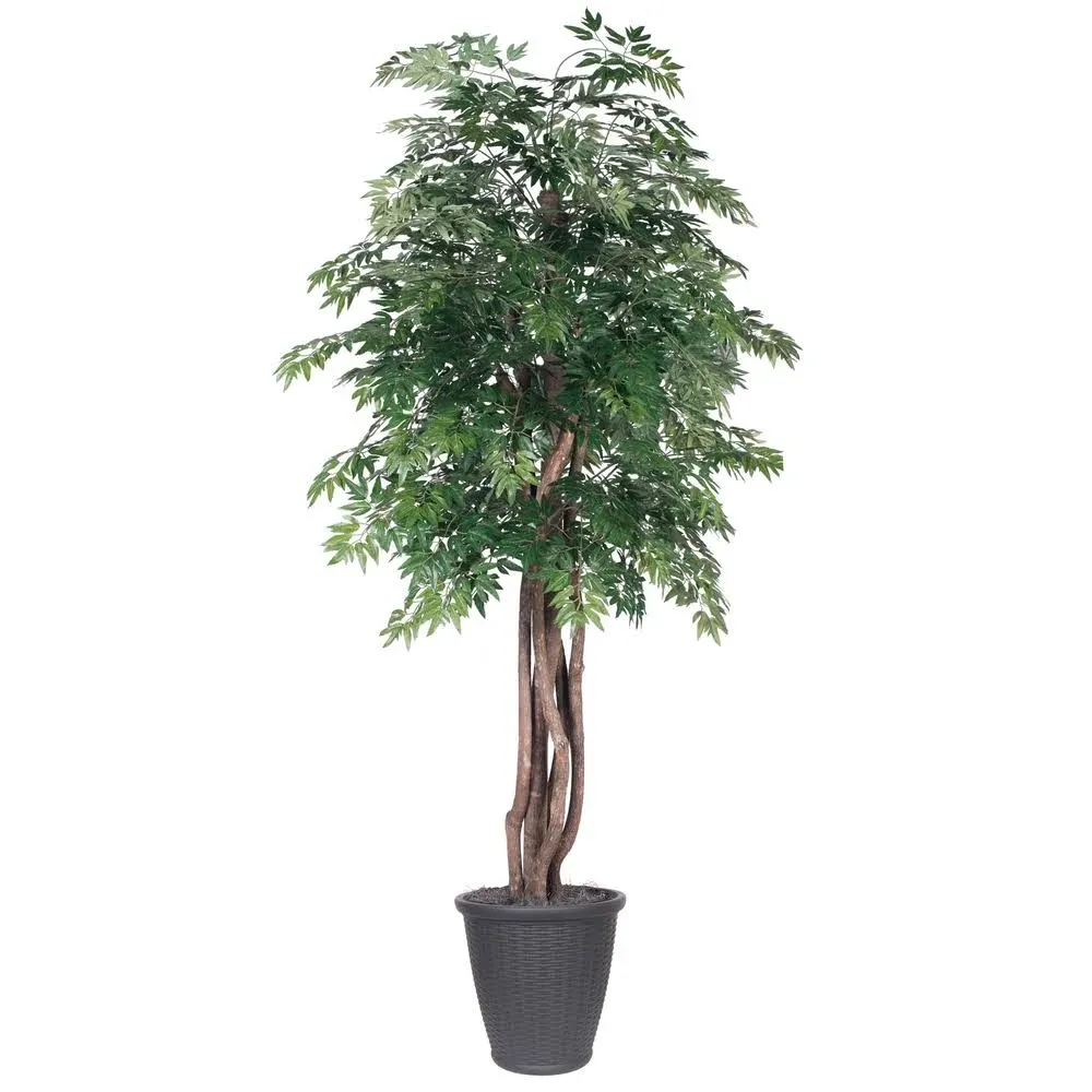 "6' Ming Aralia Executive Round Gray Container Artificial Tree"