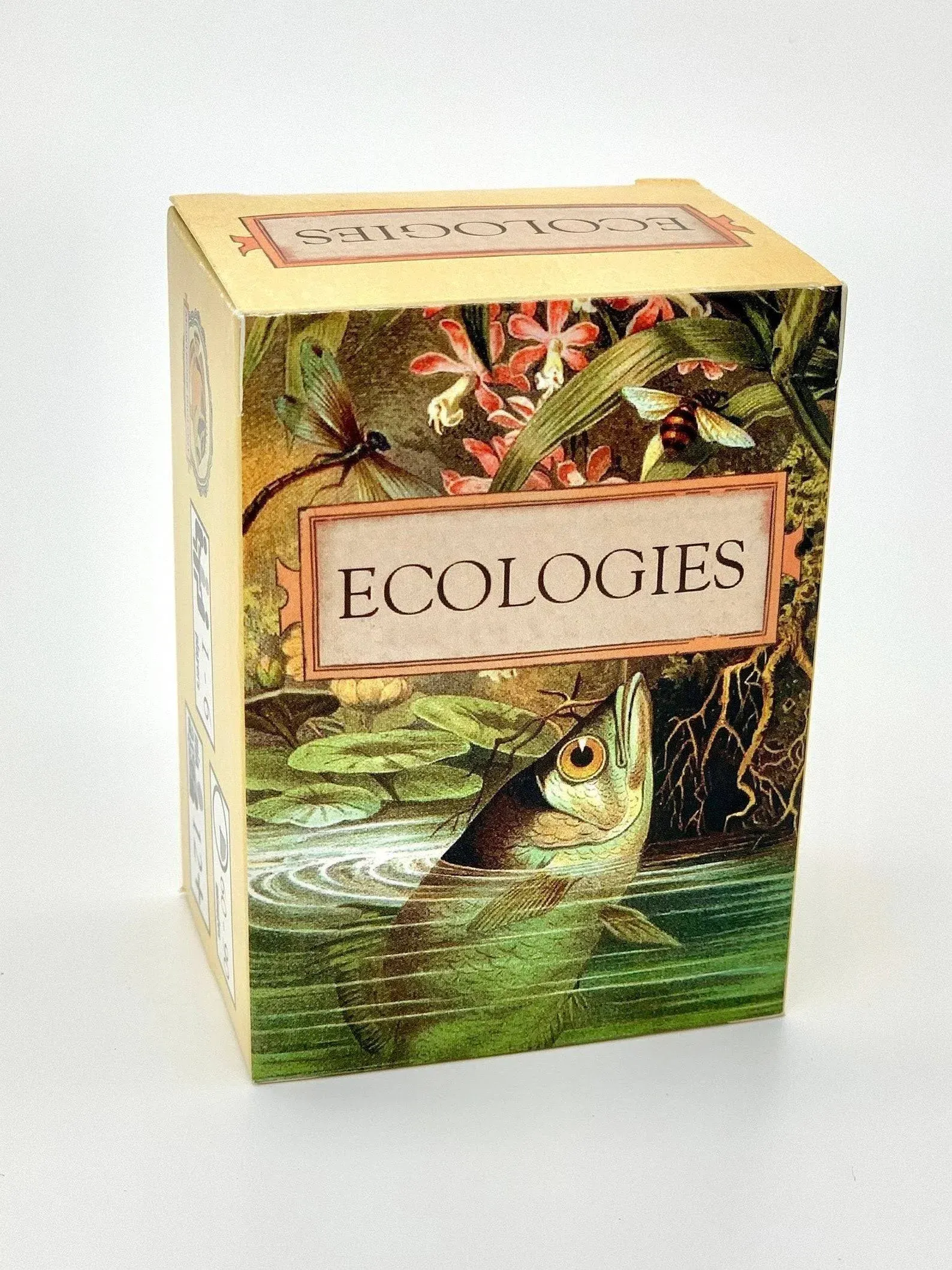 Montrose Ecologies Card Game