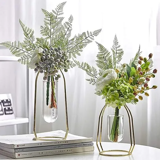 2 Pcs Geometric Vase, Modern Vase with Iron Art Frame, Vases for Centerpieces 