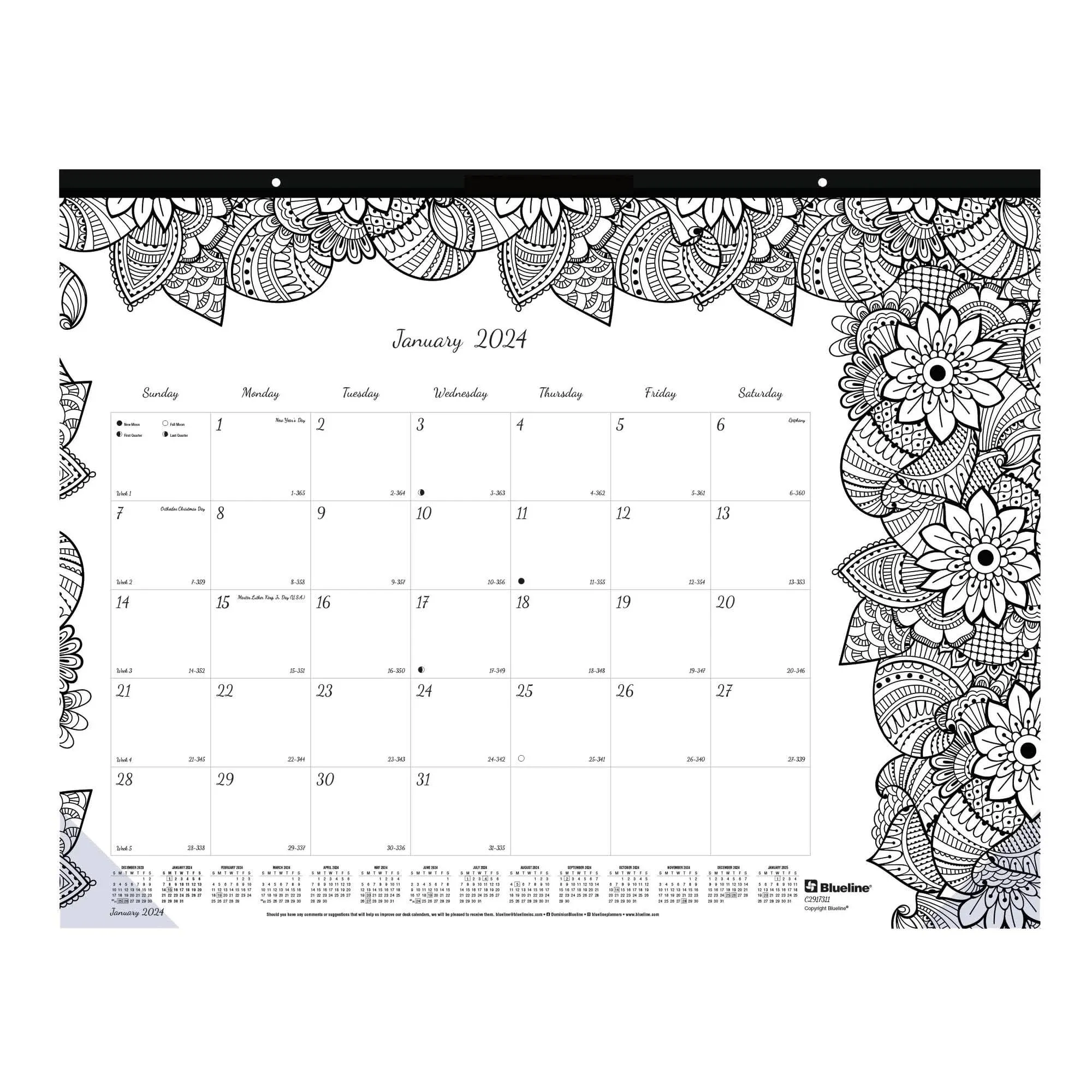 Blueline C2917311: Monthly Desk Pad Calendar, DoodlePlan Coloring Page