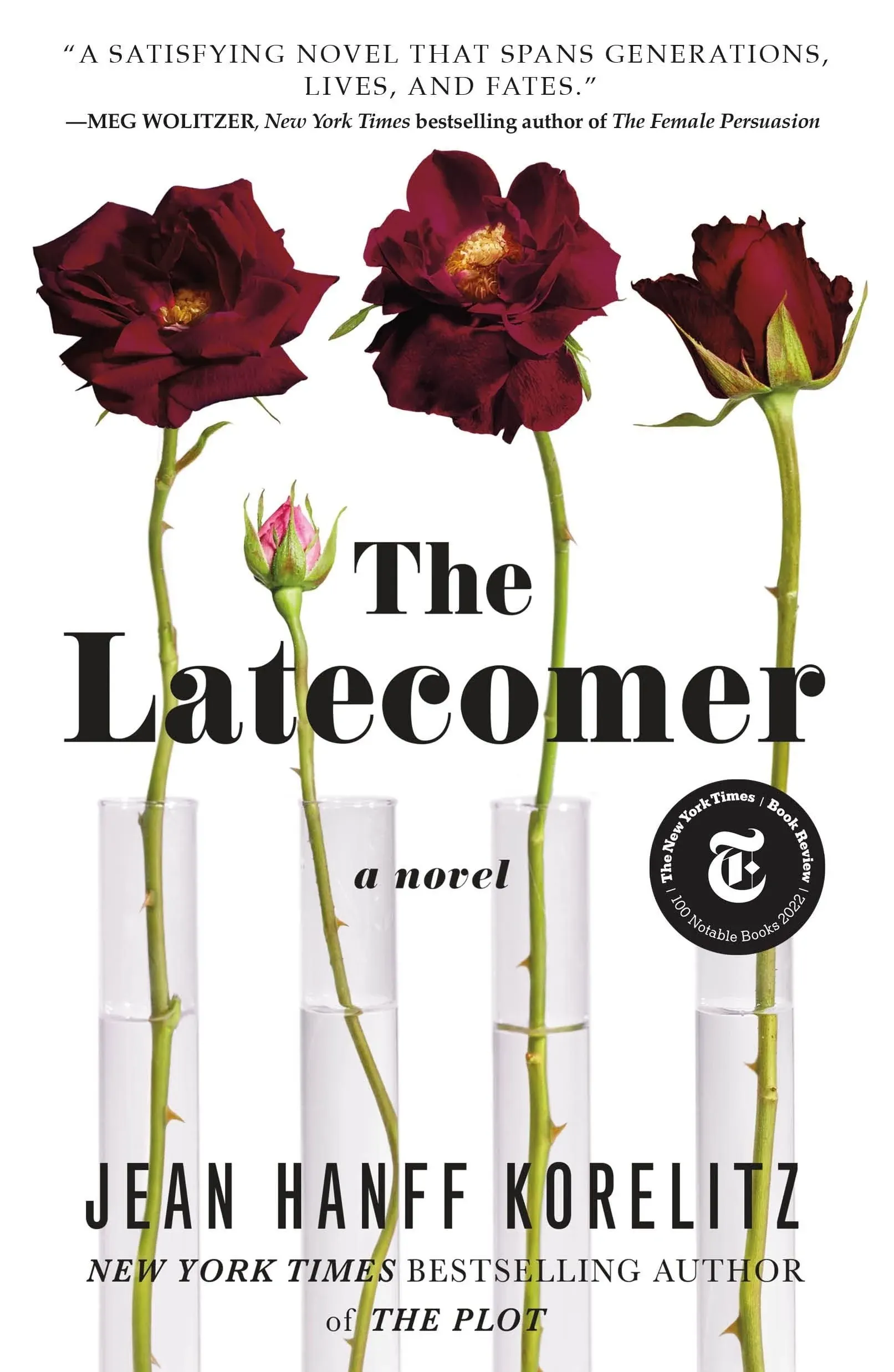 The Latecomer: A Novel [Book]