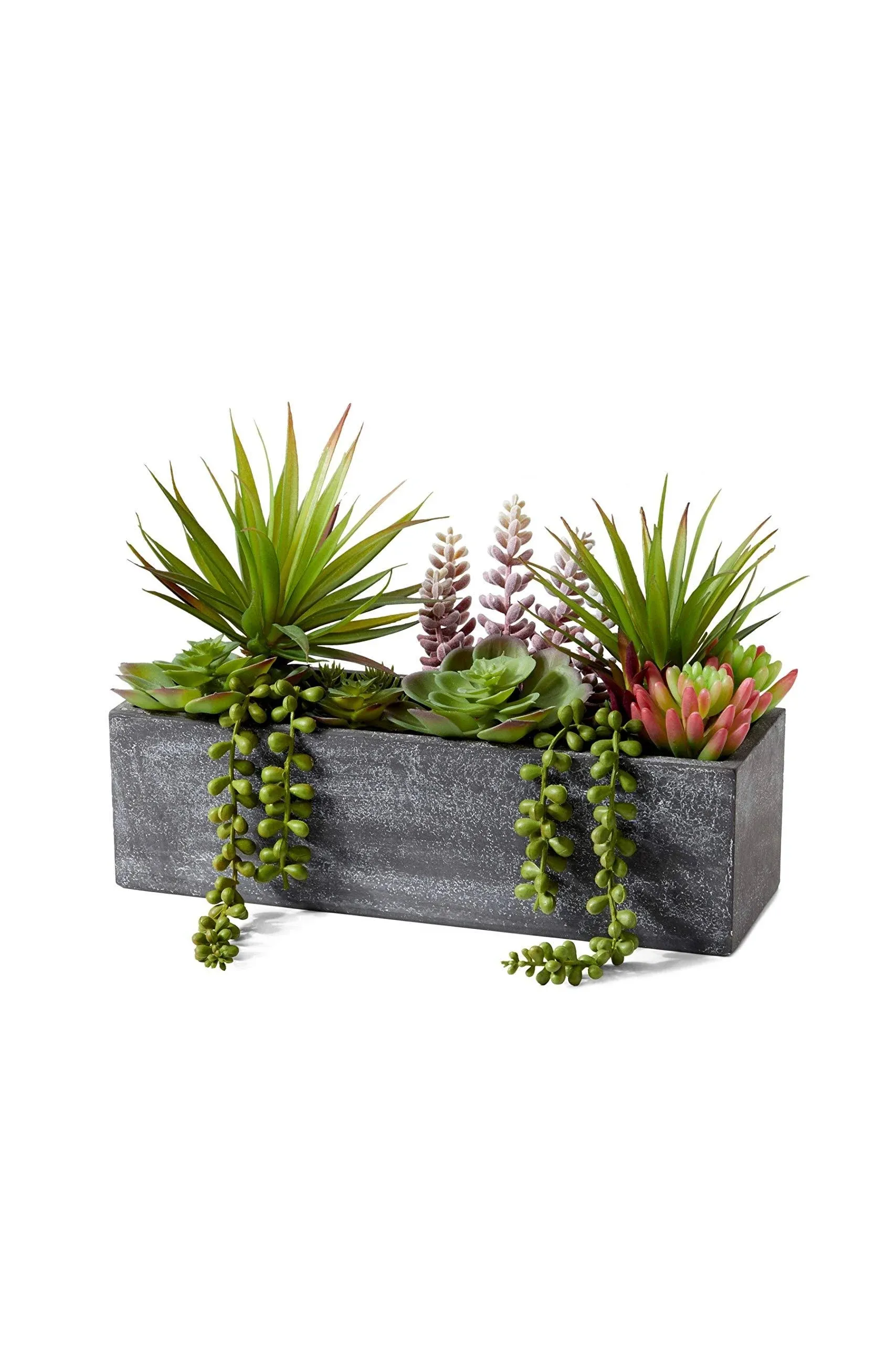 Serene Spaces Living Mixed Succulents in Rectangular Planter: Perfect for Weddings and Home Décor, Real Looking Plant for Decoration, Single, 2in Long x 4.5in Wide x 9in Tall