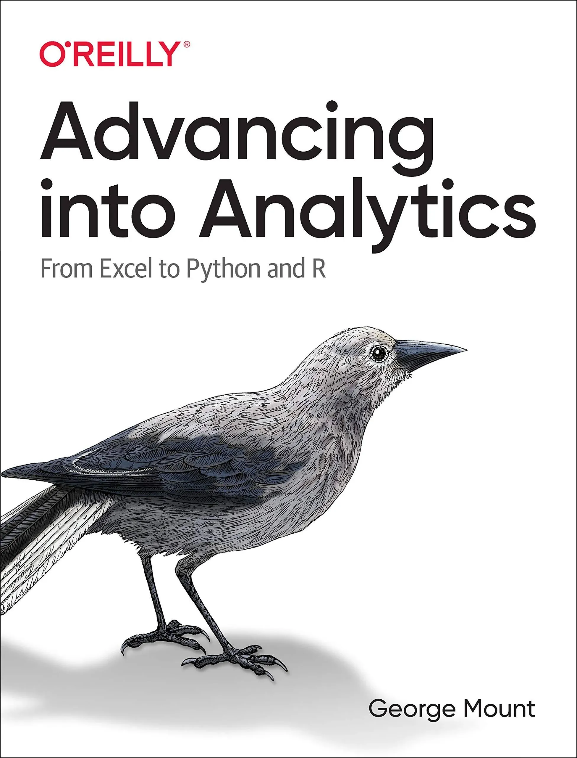 Advancing Into Analytics: From Excel to Python and R