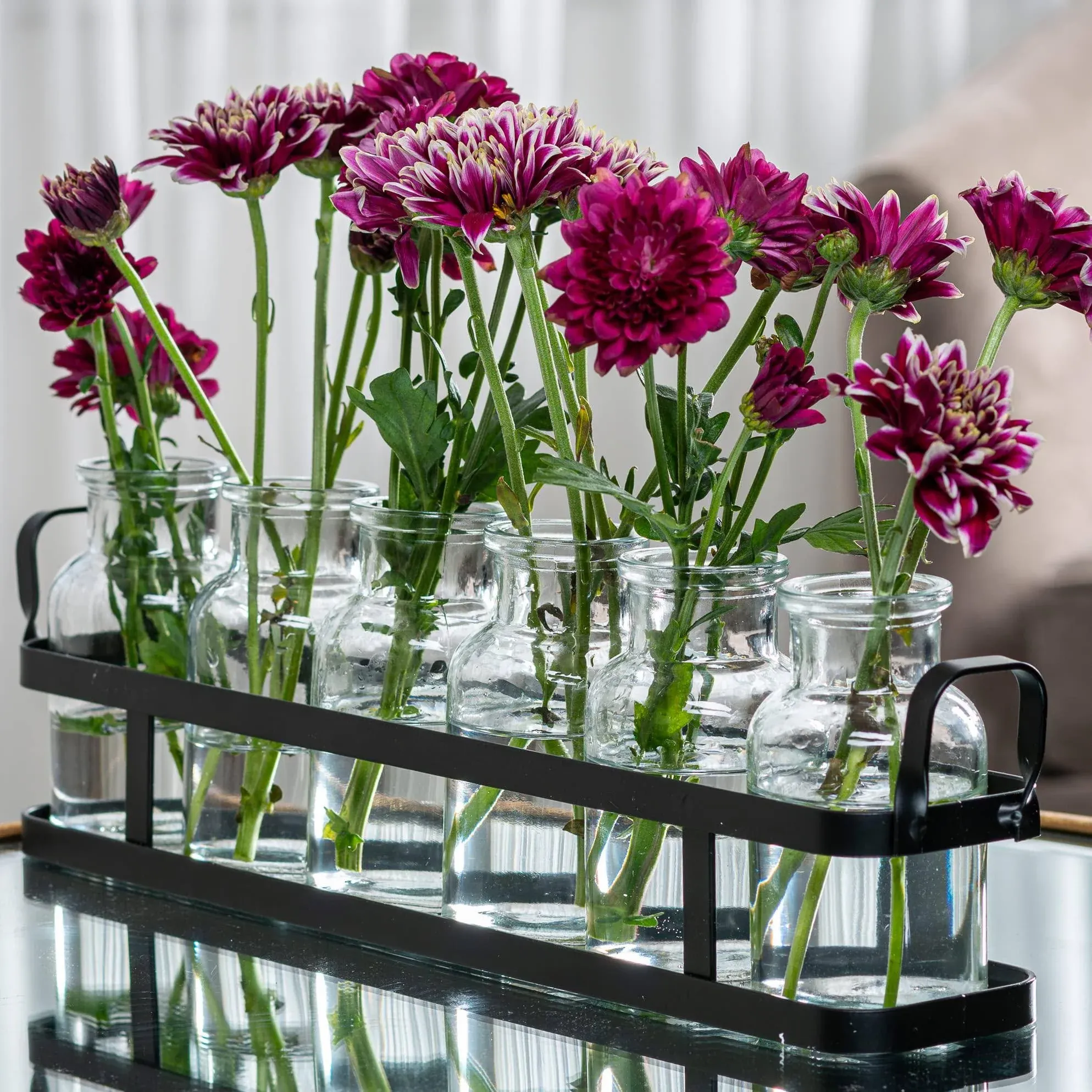 6pc Glass Flower Vase with Metal Holder, Best Vases for Flowers, Set for Home ...