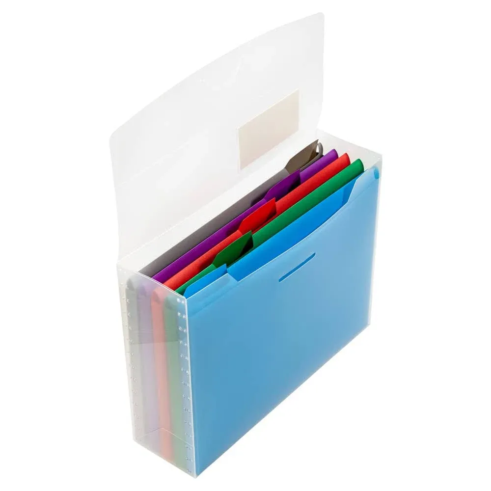 Jam Paper Clear Storage Box with 5 Assorted Files