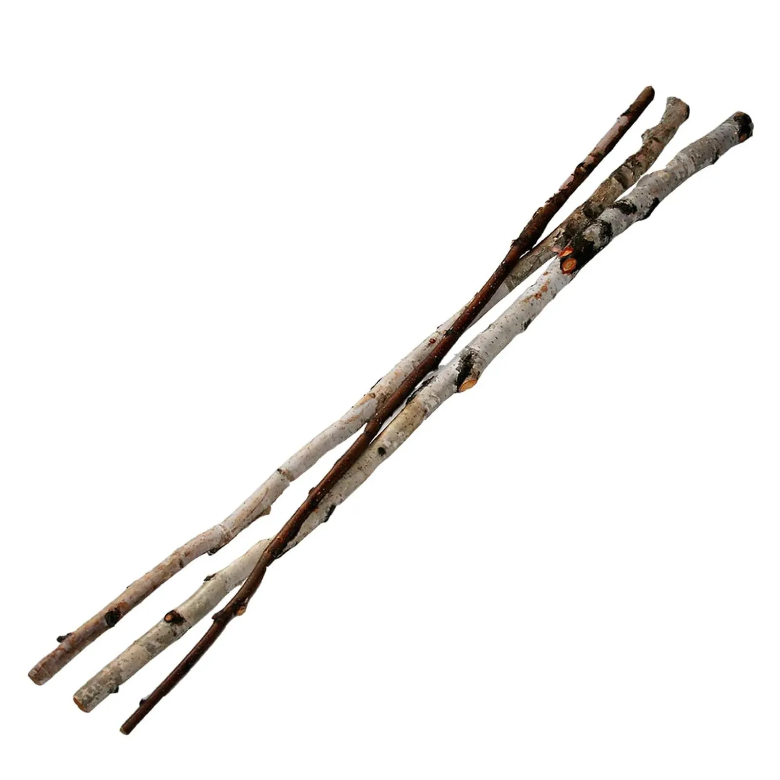 Wilson® Enterprises Birch Sticks, 3ct.